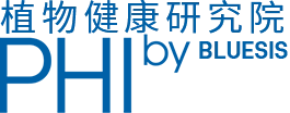 PHI 是什么