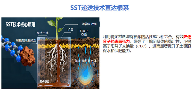 技术聚焦 | 以小分子腐植酸科技，重新定义营养效率