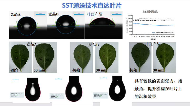 技术聚焦 | 以小分子腐植酸科技，重新定义营养效率
