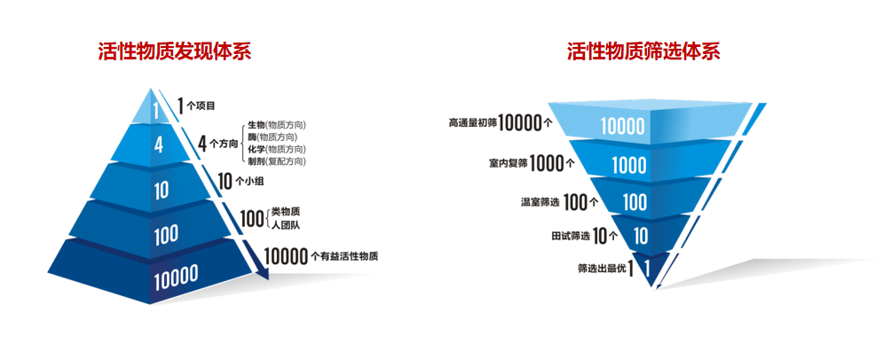 高通量筛选平台