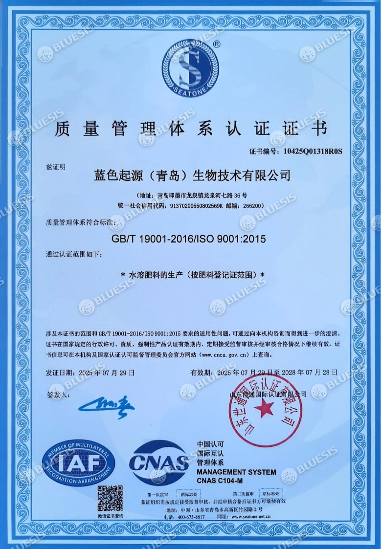 质量管理体系认证证书