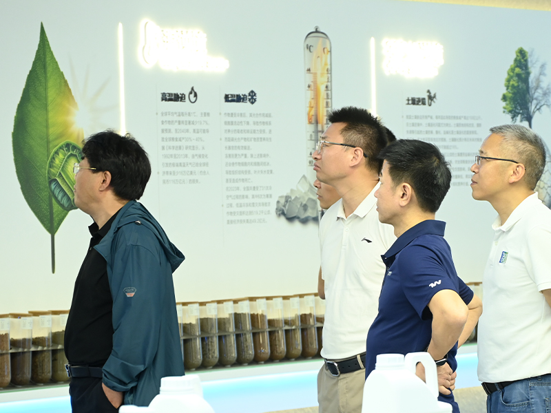 客户成功