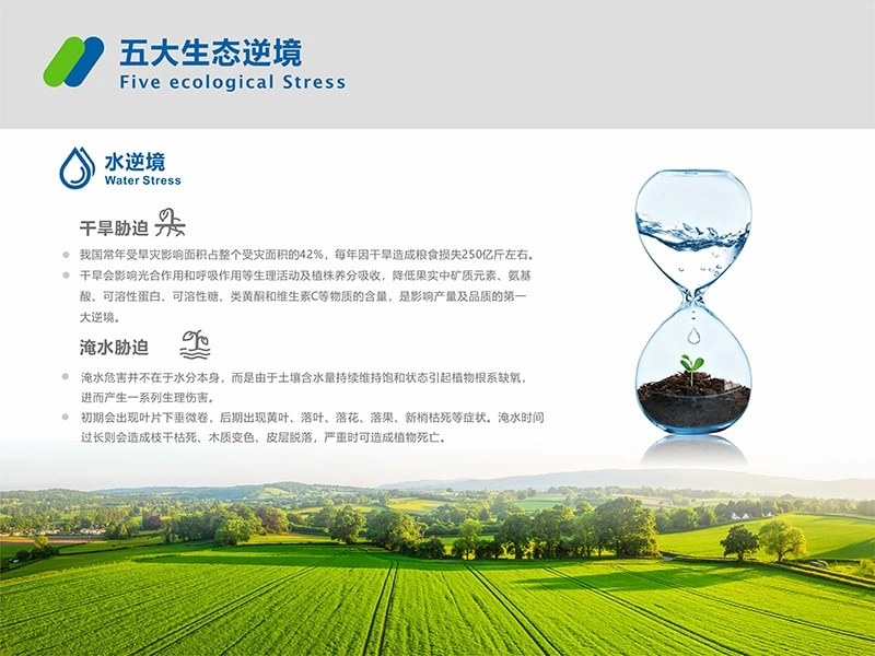 办公楼