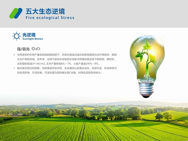 办公楼
