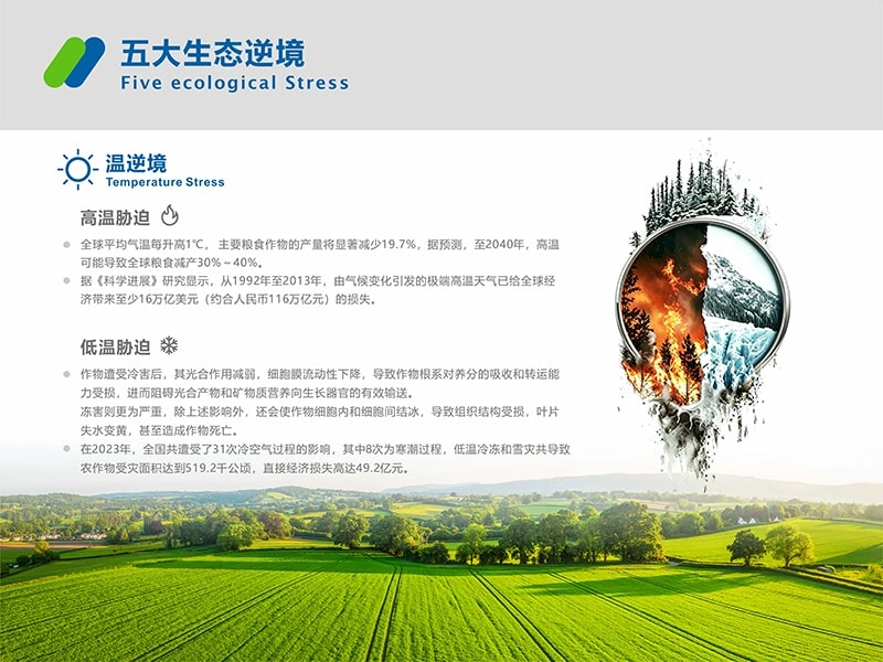 办公楼