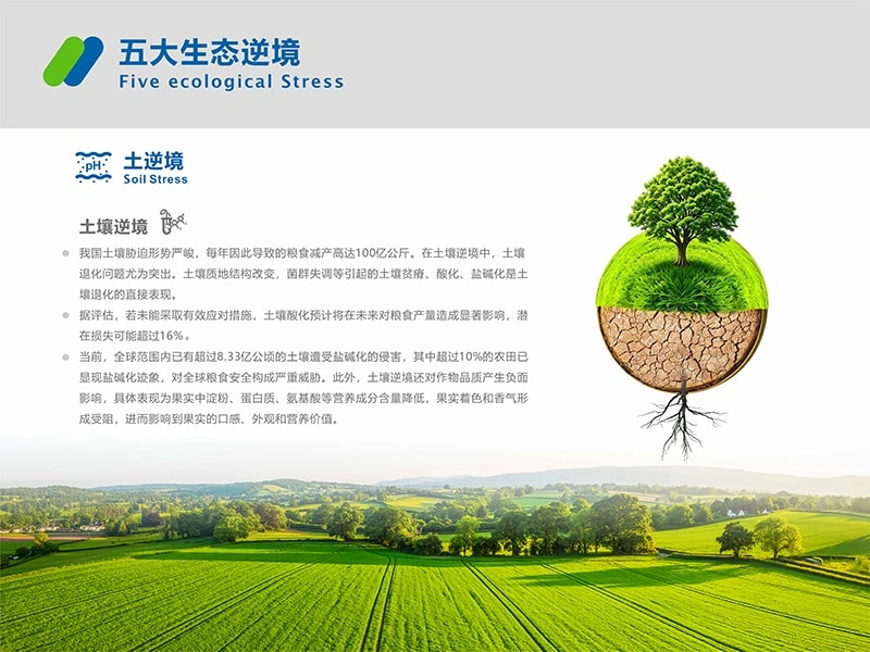 办公楼