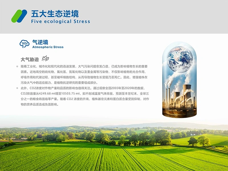 办公楼
